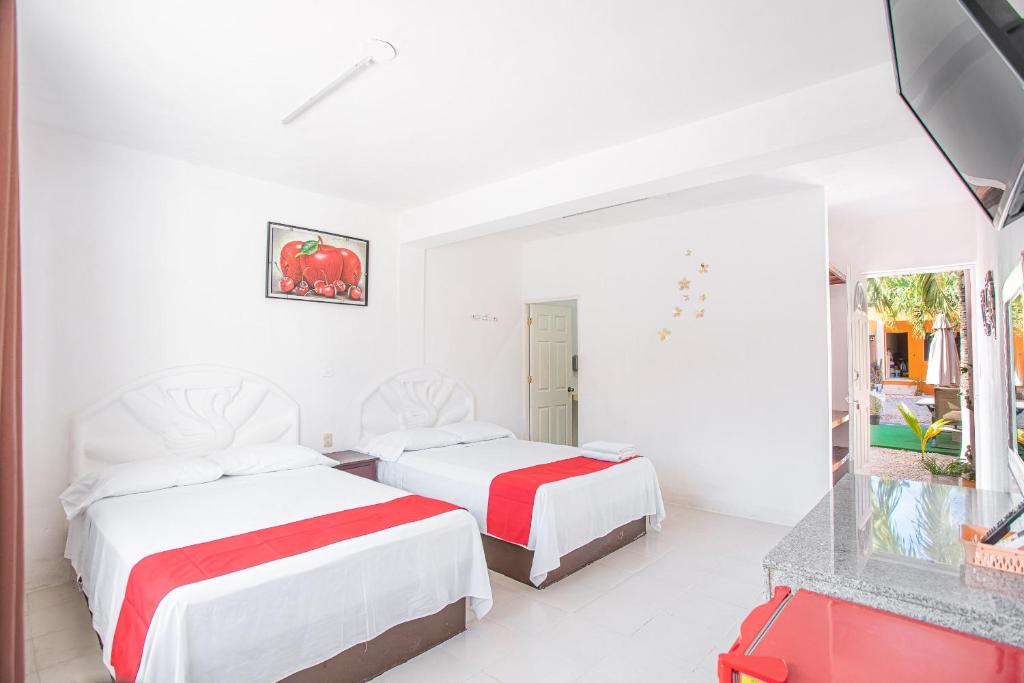 Hotel Casa Ariana - Recepción